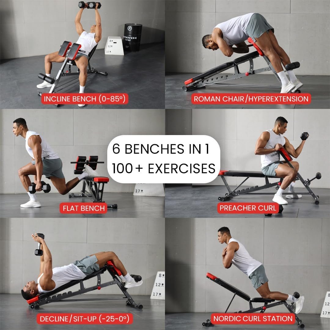 Multi-Functional FID Weight Bench for Full All-In-One Body Workout – Hyper Back Extension, Roman Chair, Adjustable Ab Sit up Bench, Incline Decline Bench, Flat Bench - Malachi Wallace boutique