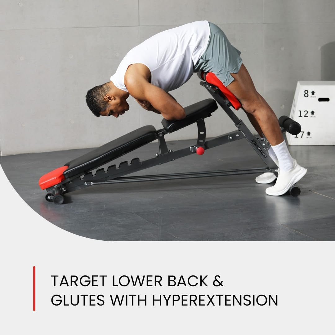Multi-Functional FID Weight Bench for Full All-In-One Body Workout – Hyper Back Extension, Roman Chair, Adjustable Ab Sit up Bench, Incline Decline Bench, Flat Bench - Malachi Wallace boutique